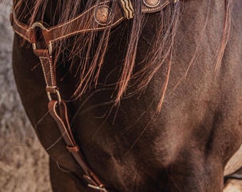 Rancher Rawhide- Leather Breast Collar - Western Breast Collar For Horse - Breastplate with Rawhide Rose Gold Conchos