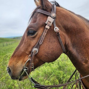 Classic Rose- Browband Headstall - Western Headstall - Western Bridle- Leather Horse Tack - Ranch Hand Premium Leather Headstall