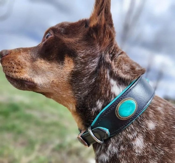 Leather Dog Collar- Natural Turquoise Stone Handmade Western