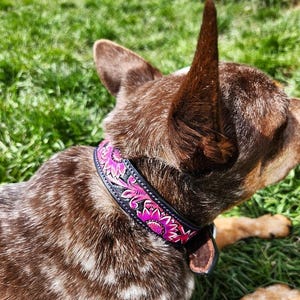 Leather Dog Collar- Pink Painted Sunflower- Tooled - Handmade Western Leather Dog Collar - Premium Full-Grain, Durable & Stylish Design