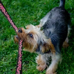 Leather Leash- Pink Sunflower