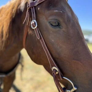 Cowpuncher Browband Headstall - Western Headstall - Western Bridle- Leather Horse Tack - Ranch Hand Premium Leather Headstall