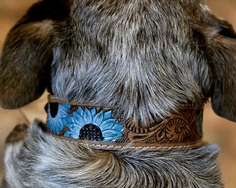 Prairie Blue Leather Dog Collar | Hand-Painted Western Style Ranch Hand Pet Collar
