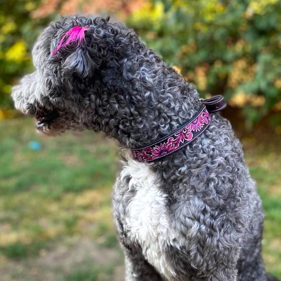 Leather Dog Collar- Pink Painted Sunflower- Tooled Handmade Western  Leather Dog Collar Premium Full-Grain, Durable Stylish Design
