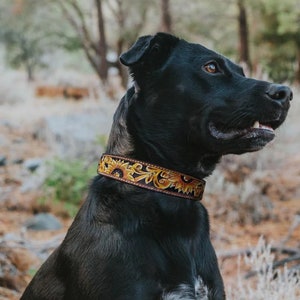 Leather Dog Collar, Sunflower Collar, Yellow Painted Flower, Floral Collar, Hand Painted,Pet Collar, Comfortable Dog Collar, Genuine Leather