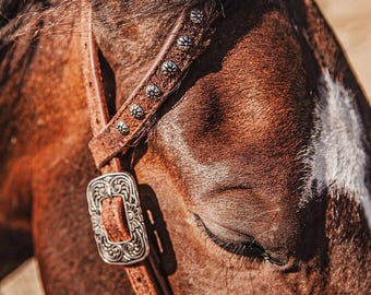 Twisted Iron- Outlaw One Ear Headstall - Western Headstall - Western Bridle- Leather Horse Tack - Ranch Hand Premium Leather Headstall