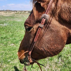 Denver Brown Buckstitch- One Ear Leather Headstall - Western Headstall - Western Bridle- Leather Horse Tack - Ranch Hand Premium Leather