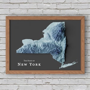 Reliefkarte des Bundesstaates New York | Druckbares Dekor