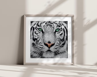 May include: A framed close-up of a white tiger's face. The tiger has striking green eyes, a pink nose, and black stripes on its white fur. The image is in a square frame, creating a bold and captivating piece of art.