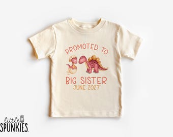 Big Sister Dinosaur T-Shirt: Personalized Pink Dino Pregnancy Reveal - RL19016