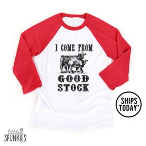 Funny Western T-Shirt for Kids, I Come From Good Stock Toddler Raglan, Country Kid Bull Graphic Tee - BBL28206