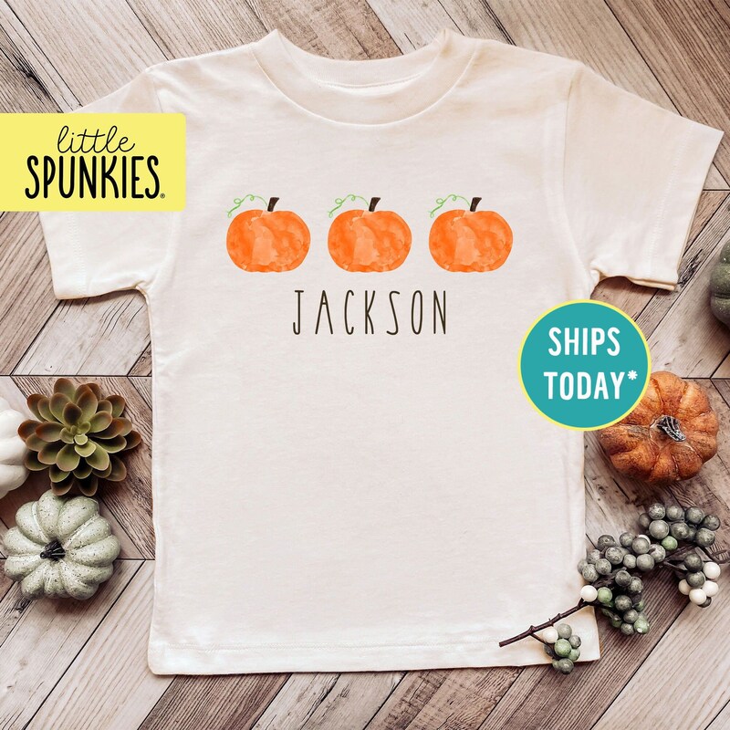 Pumpkin Tshirt - Etsy