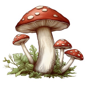 Könnte beinhalten: Eine Gruppe von vier roten und weißen Pilzen mit weißen Stielen, die in einem Bett aus grünen Blättern wachsen.