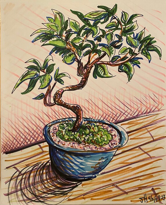 Bonsai-Baum - Etsy.de