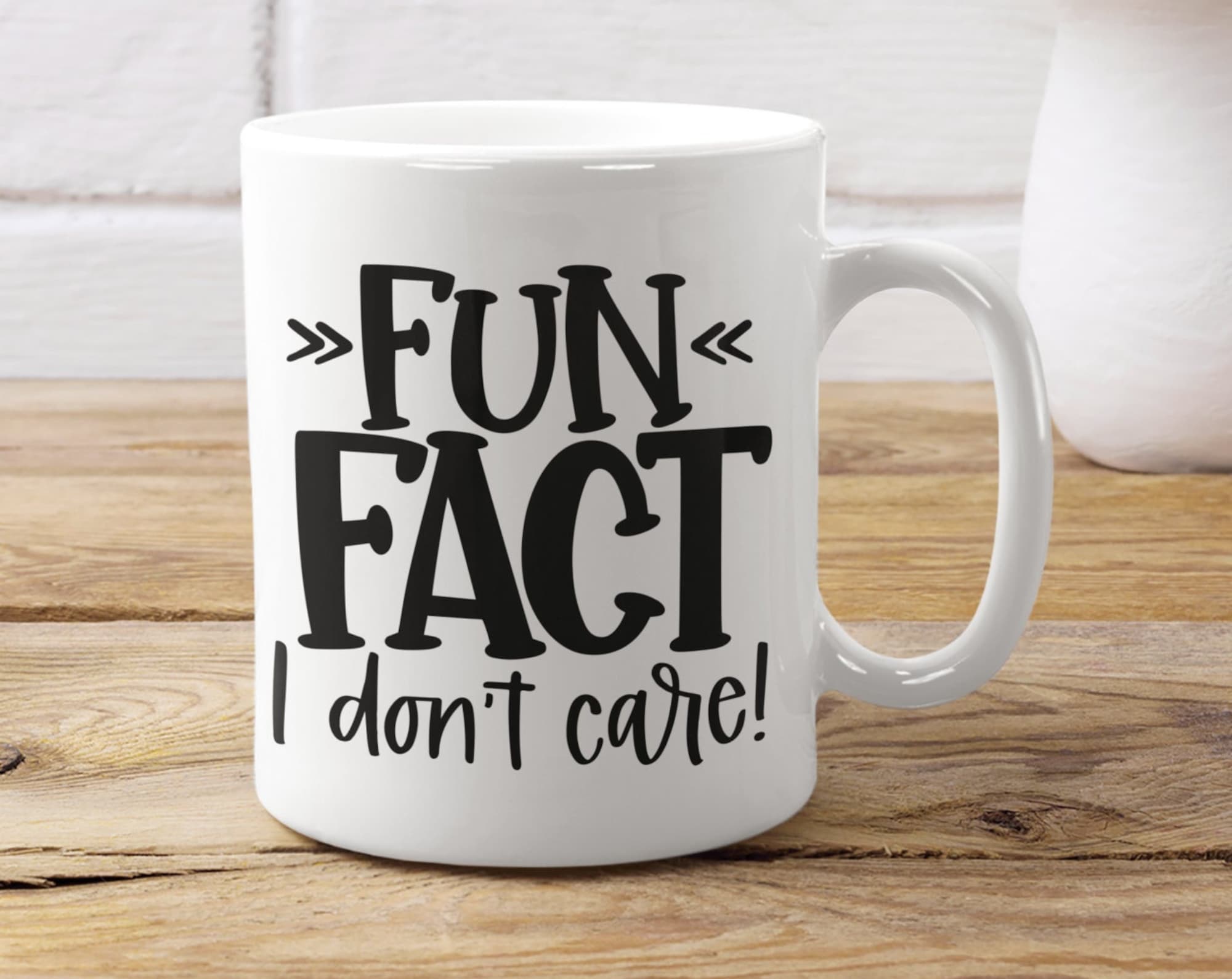 Fun Fact I don't care sarcastic mug