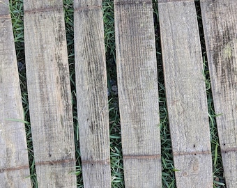 All Barrel (Staves), No Monkeys