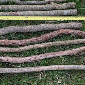 May include: Several wooden sticks of varying lengths and textures are arranged on a bed of green grass. A yellow measuring tape is placed alongside the sticks, indicating their dimensions. The sticks range in color from light brown to dark brown.