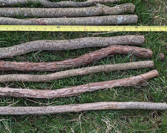May include: Several wooden sticks of varying lengths and textures are arranged on a bed of green grass. A yellow measuring tape is placed alongside the sticks, indicating their dimensions. The sticks range in color from light brown to dark brown.