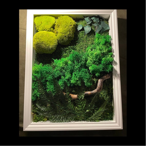 Preserved Moss Picture, Vertical Garden, Green Wall Art, Ferns,  Scandinavian Nature, Green Picture Decoration, Impregnated Plants Christmas  