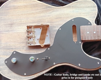 【カスタム品】ジャガード 2V2T ブラック 改造 エレキ レア ヴィンテージ RS Guitarworks Slab Blackguard II 