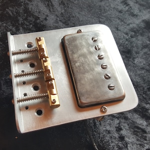 Può includere: Un ponte per chitarra argentato con una selletta dorata e un pickup argentato. Il ponte ha quattro viti regolabili e il pickup ha sei viti.