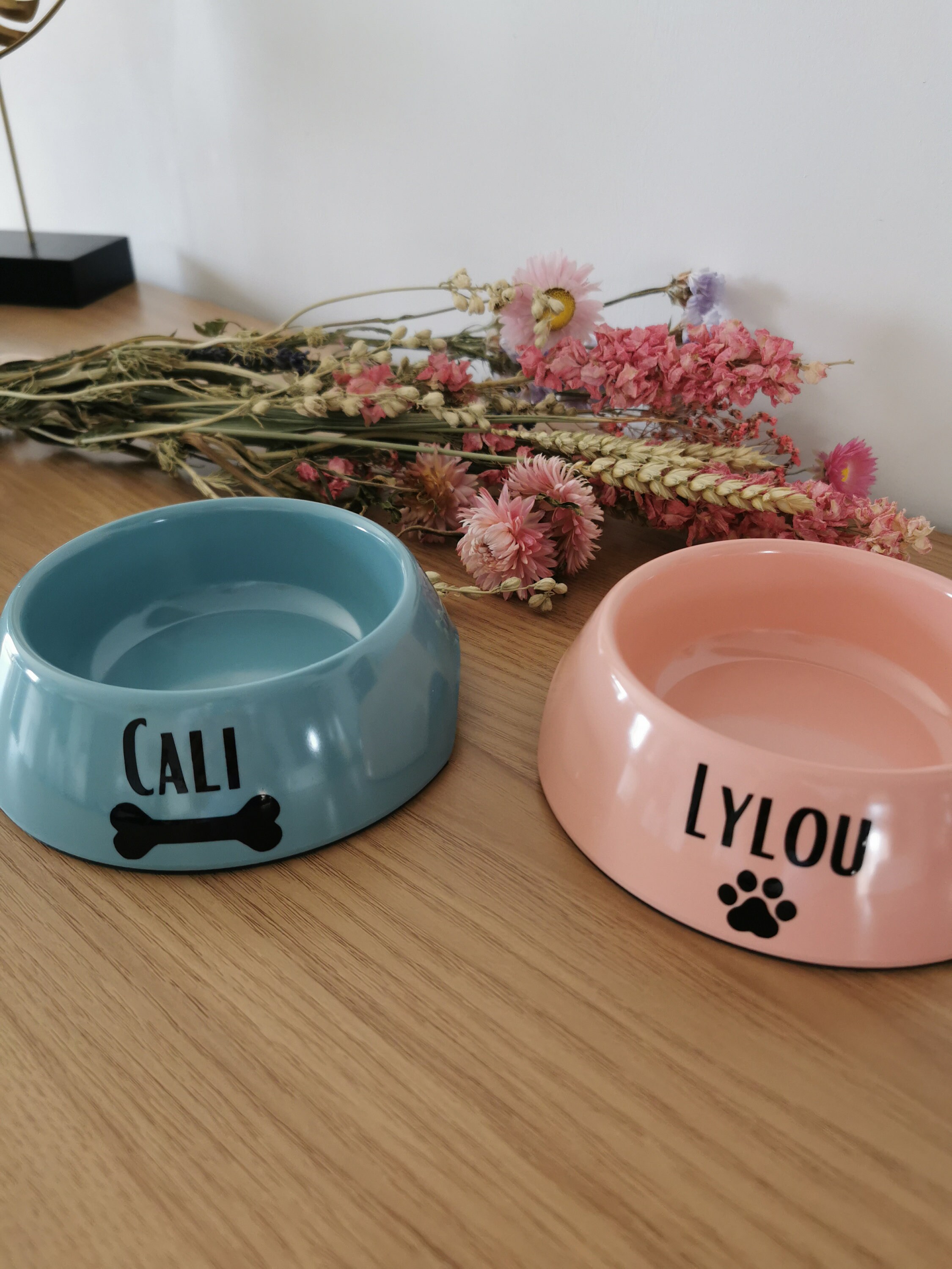 Gamelle Pour Animaux/Chat et Chien Personnalisée