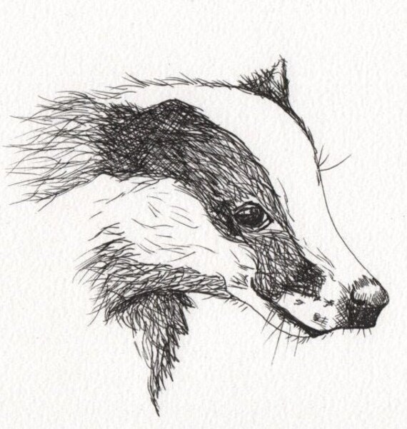 Badger Ink Drawing Using Micron Pen on A4 Textured Paper - Etsy