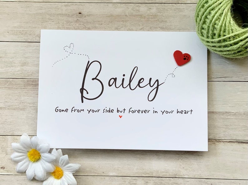 Pu&ograve; includere: Carta bianca con testo nero che recita "Bailey gone from your side but forever in your heart". Un cuore rosso con un'impronta di zampa si trova nell'angolo in alto a destra.
