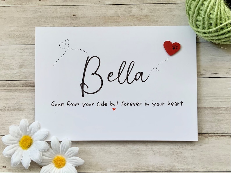 Pu&ograve; includere: Un biglietto bianco con testo nero che recita "Bella Gone from your side but forever in your heart" con un cuore rosso con un'impronta di zampa.