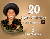 Procreate Hair Brush Set, Curly & Braided Hair Brushes