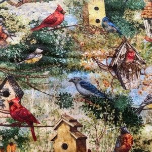 Birds and bird houses