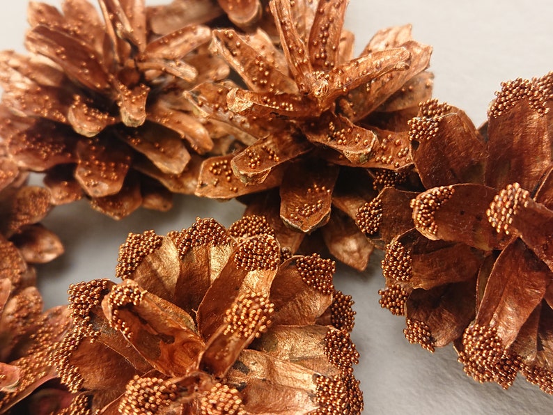 Gold painted pine cones with pearls Natural pine cones in gold Etsy