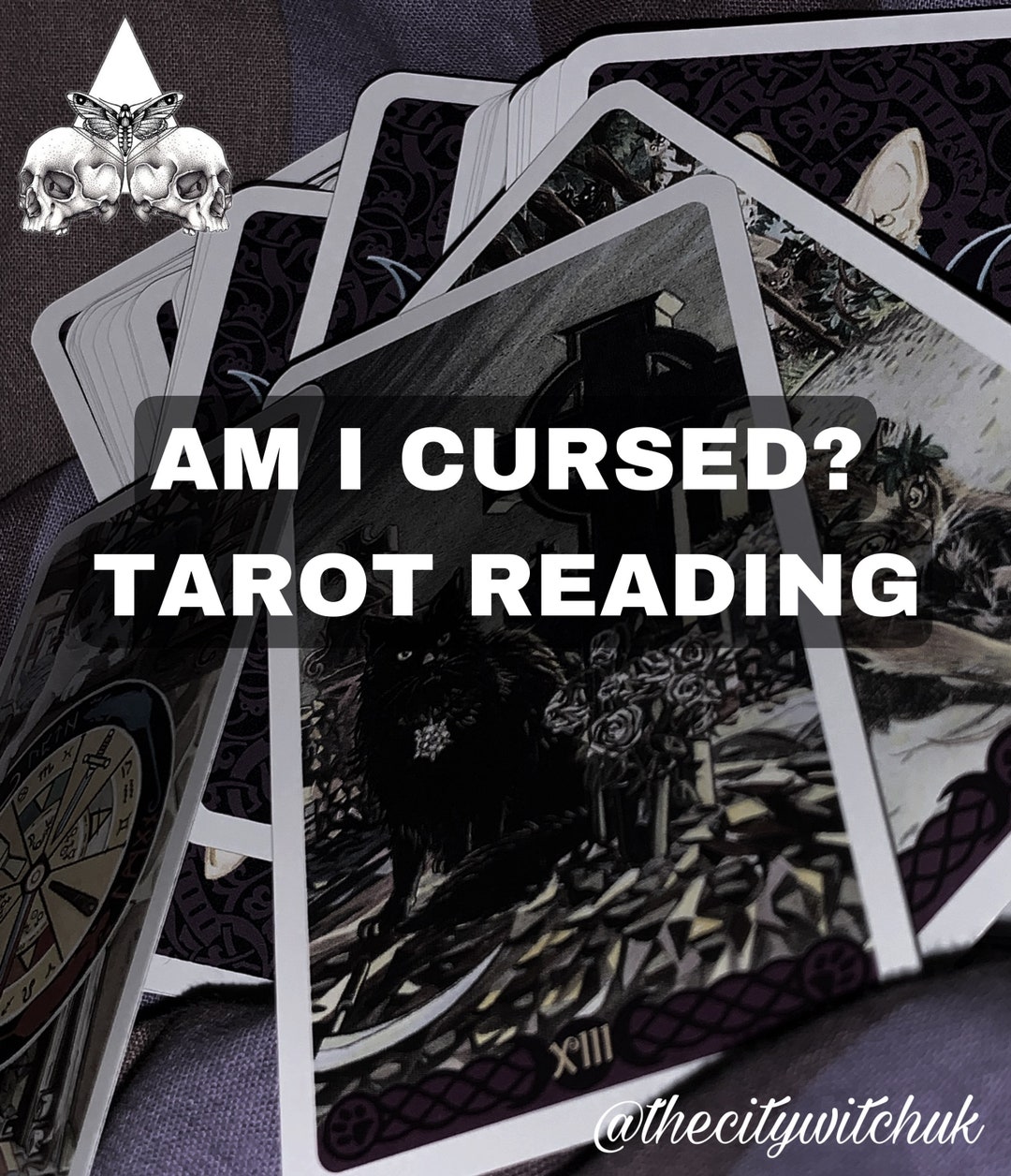 Am I Cursed Tarot Reading Etsy