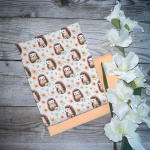 Kombi Paket Baumwolljersey süße Sommer Igel mit guter Laune und Sonnenschein mit Bündchen Aprikot ab 0,25 m Neu
