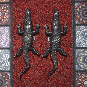 Brass Crocodile Shape Door Handle Set 10'' Inch | Hunting Alligator Door Pull With Circular Base | Total Weight- 715 x 2 = 1430 Grams Approx