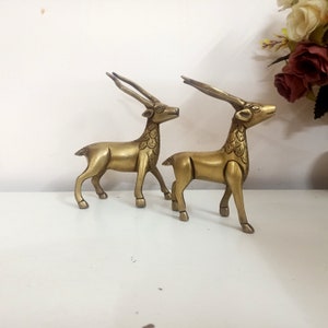 Baby Horned Gazelle Brass Duo Sculpture | Springbok Deer Couple Office Library Statues