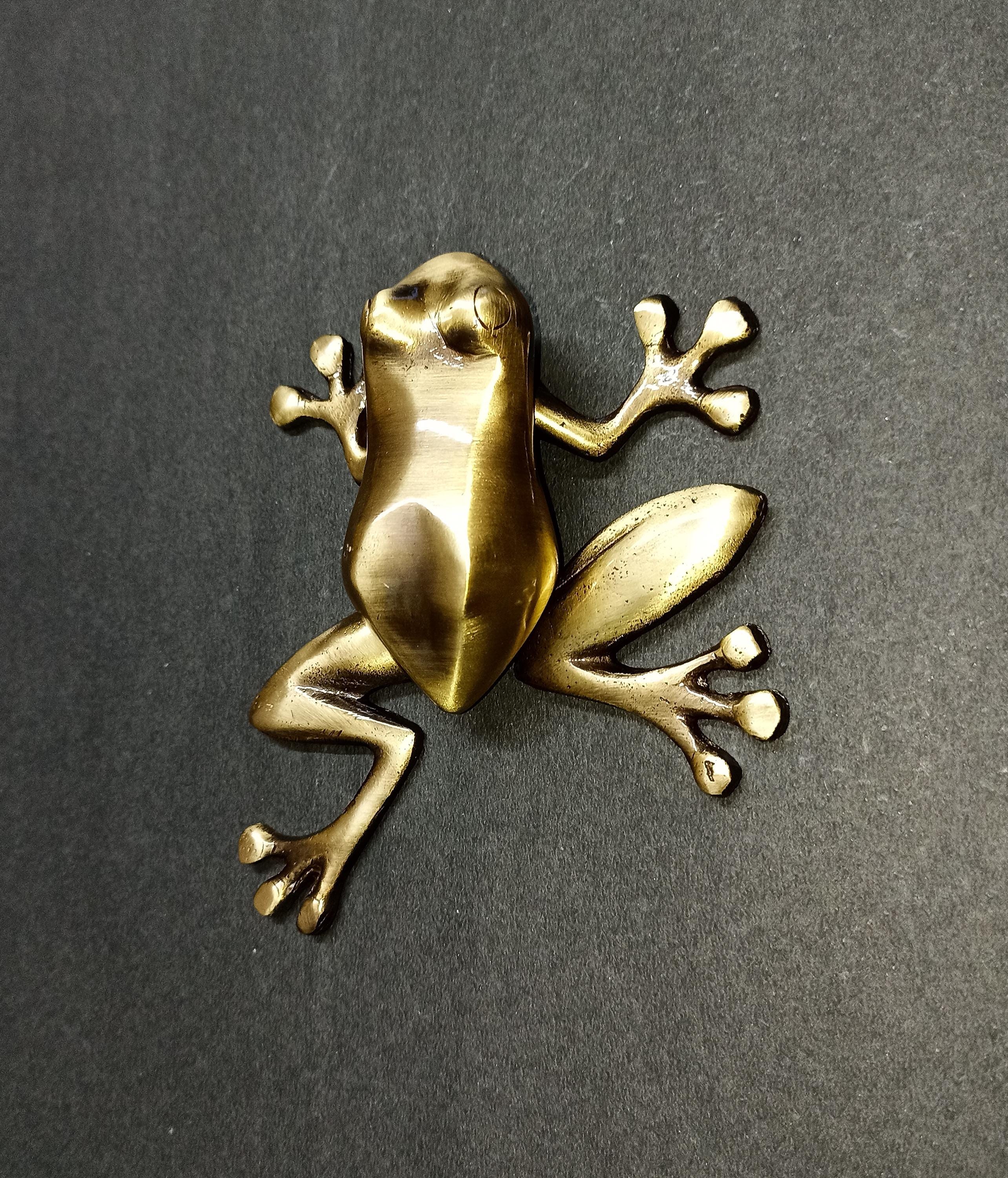 Lacquered Brass Frog Door Knocker | Reptile Toad Design Bedroom