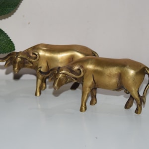 American Bison Handmade Bull Sculpture | Brass Asiatic Buffalo Set of 02 Statues | Modern Art Reception New Home Gift Decor