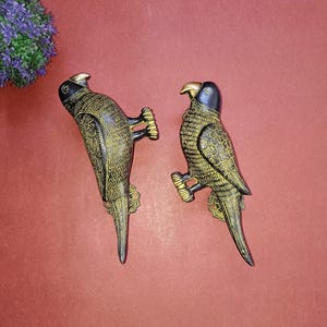 Klamka do drzwi Parrot Love Bird | Zestaw mosiężnych uchwytów do drzwi głównych Bird