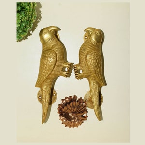 9'' Inches Parrot Brass Door Handle Pair | Male Female Echo Bird Door Pull