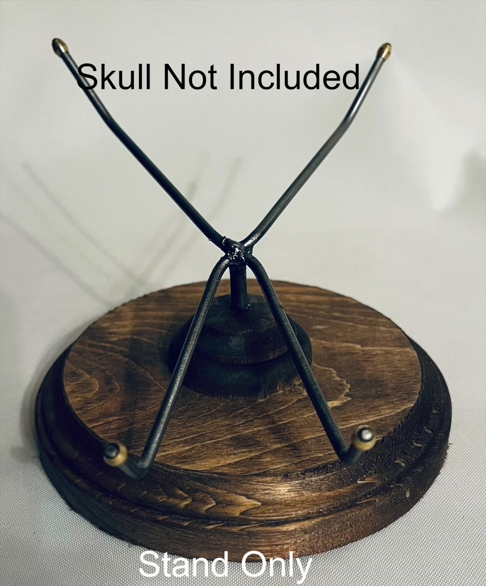 Human Skull Display Stand Low Profile Etsy Finland
