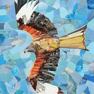 Rode Wouw Bird Prey sjamanistische Druïde kunst Giclee Print