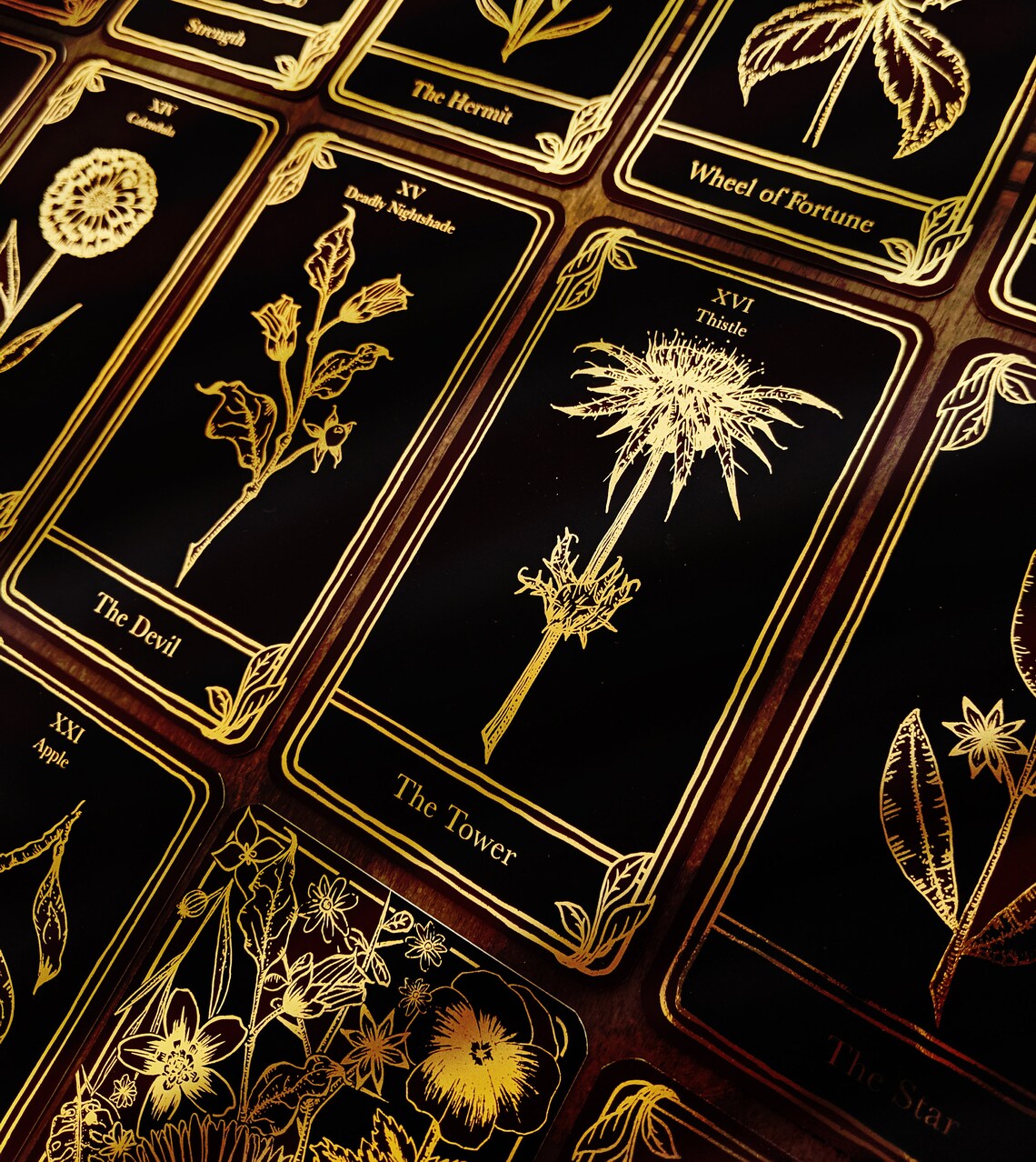 Seedling Tarot Botanical Tarot Cards LIMITED EDITION Etsy