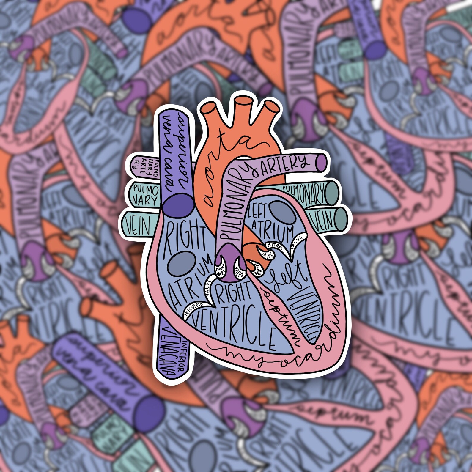 Anatomical Heart Sticker Cardiology Sticker Science Etsy