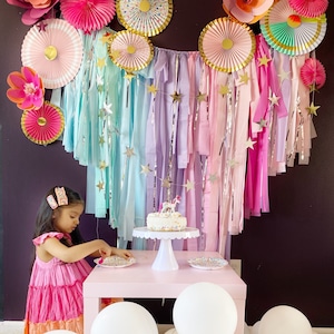 Birthday backdrop fringes/plastic streamers