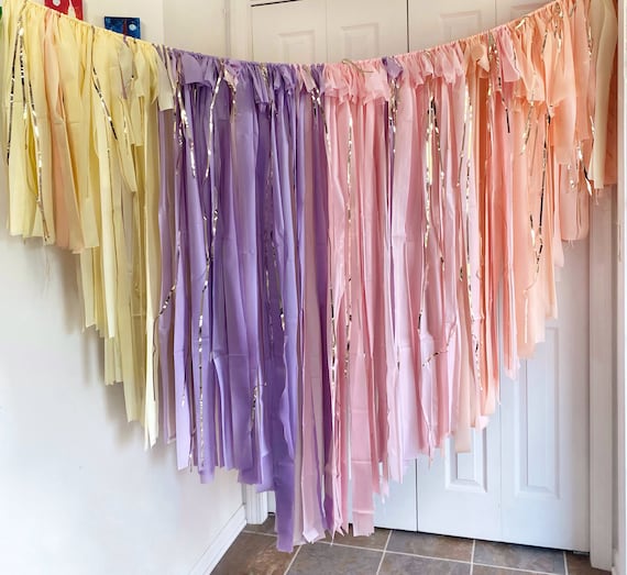 Ice Cream Fringes Backdrop Fringes/plastic Streamers/pastel 