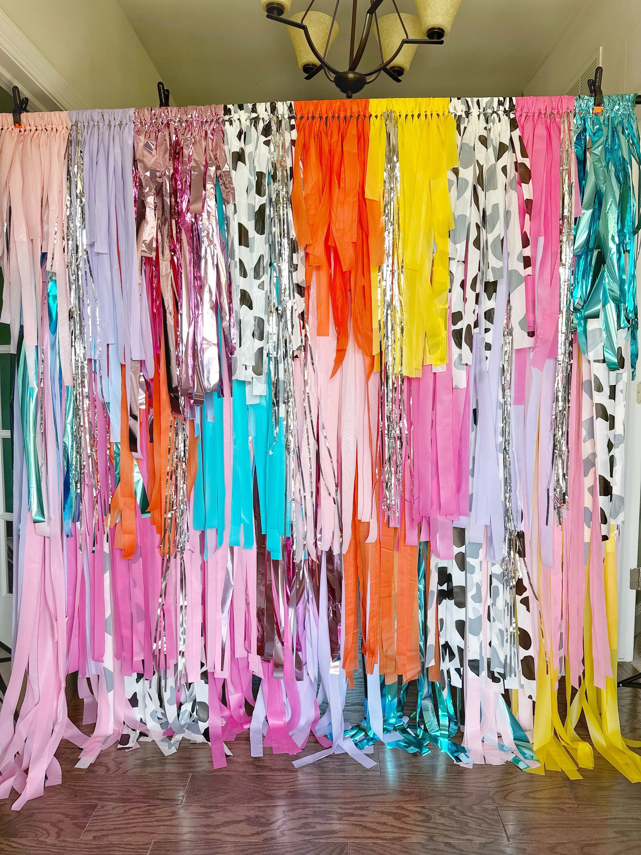 Streamer Backdrop, Fringe Backdrop, Color Birthday Party Decorations, Photo  Backdrop, Fiesta, Bachelorette Party, Pink and Orange 