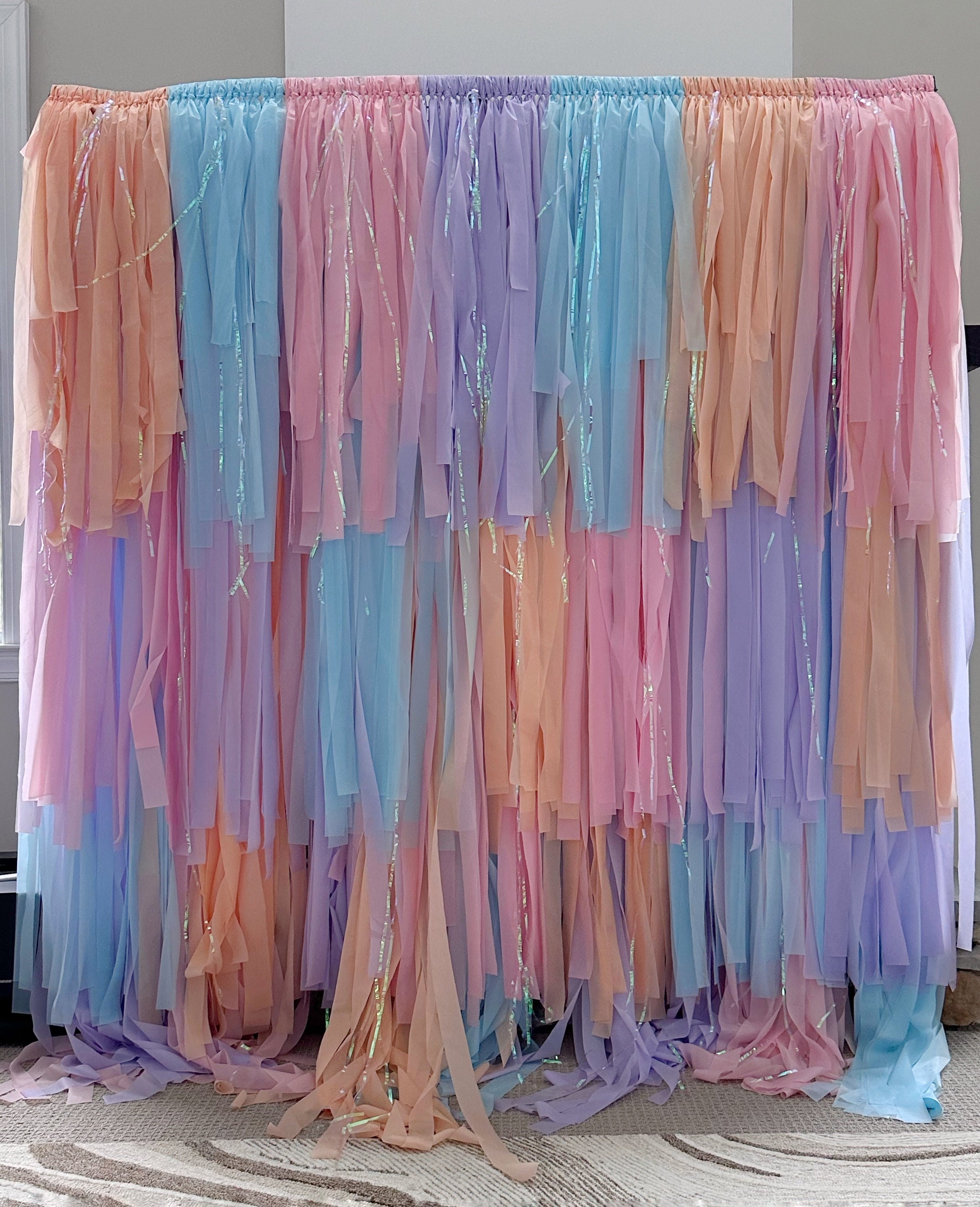 Reusable Fringe Backdrop – Pre-assembled, ready to hang.