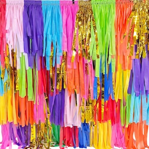 Mexican fiesta backdrop/taco party backdrop/colorful backdrop for birthday parties