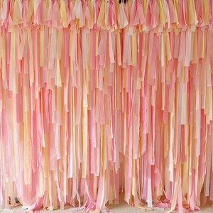 Daisy/groovy party backdrop fringes/bohemian backdrop/neutral backdrop for birthday